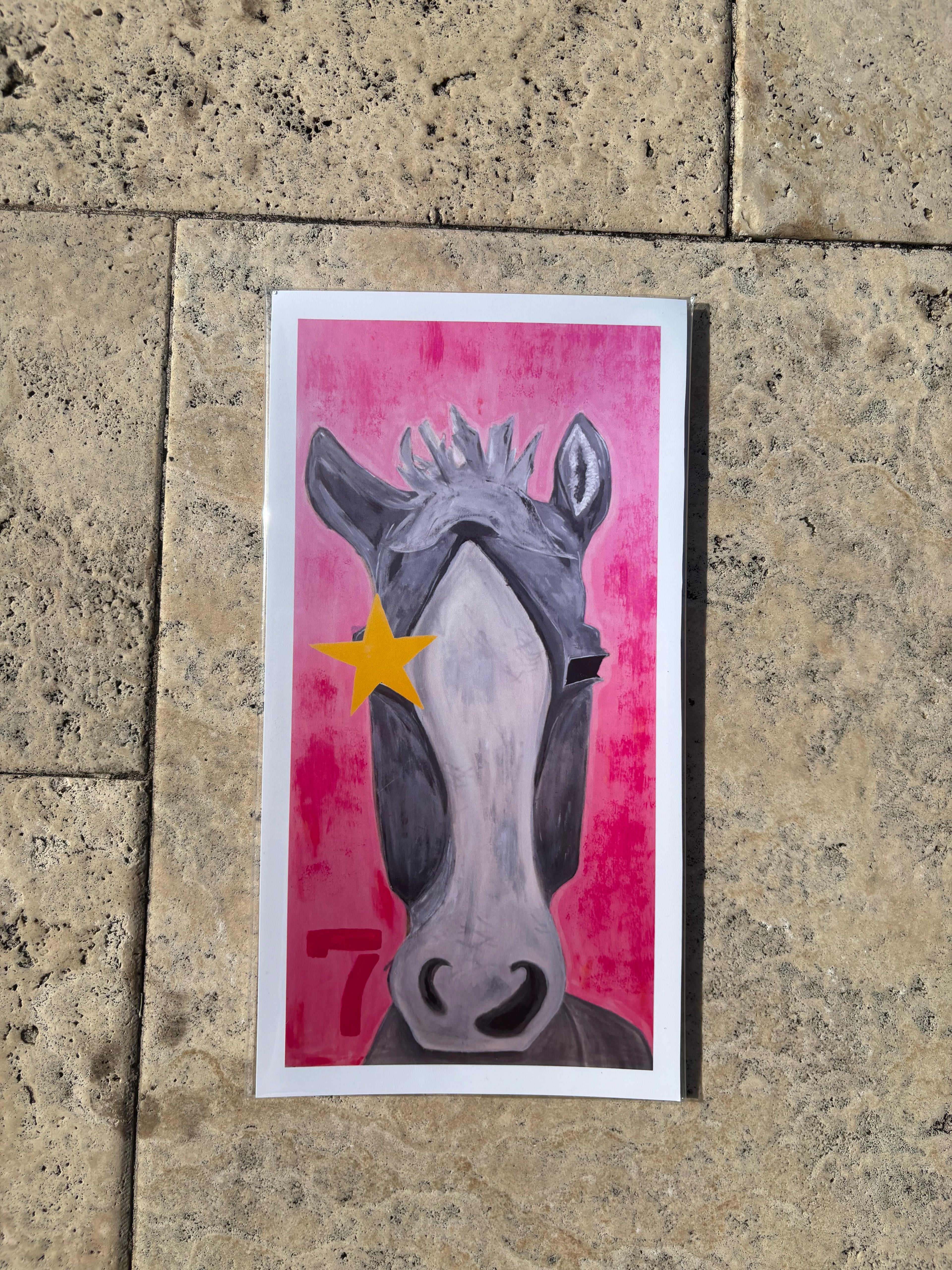 'LUCKY 7 STALLION' print